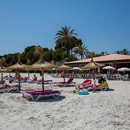 Sa Marina -figuemar- * Alcúdia